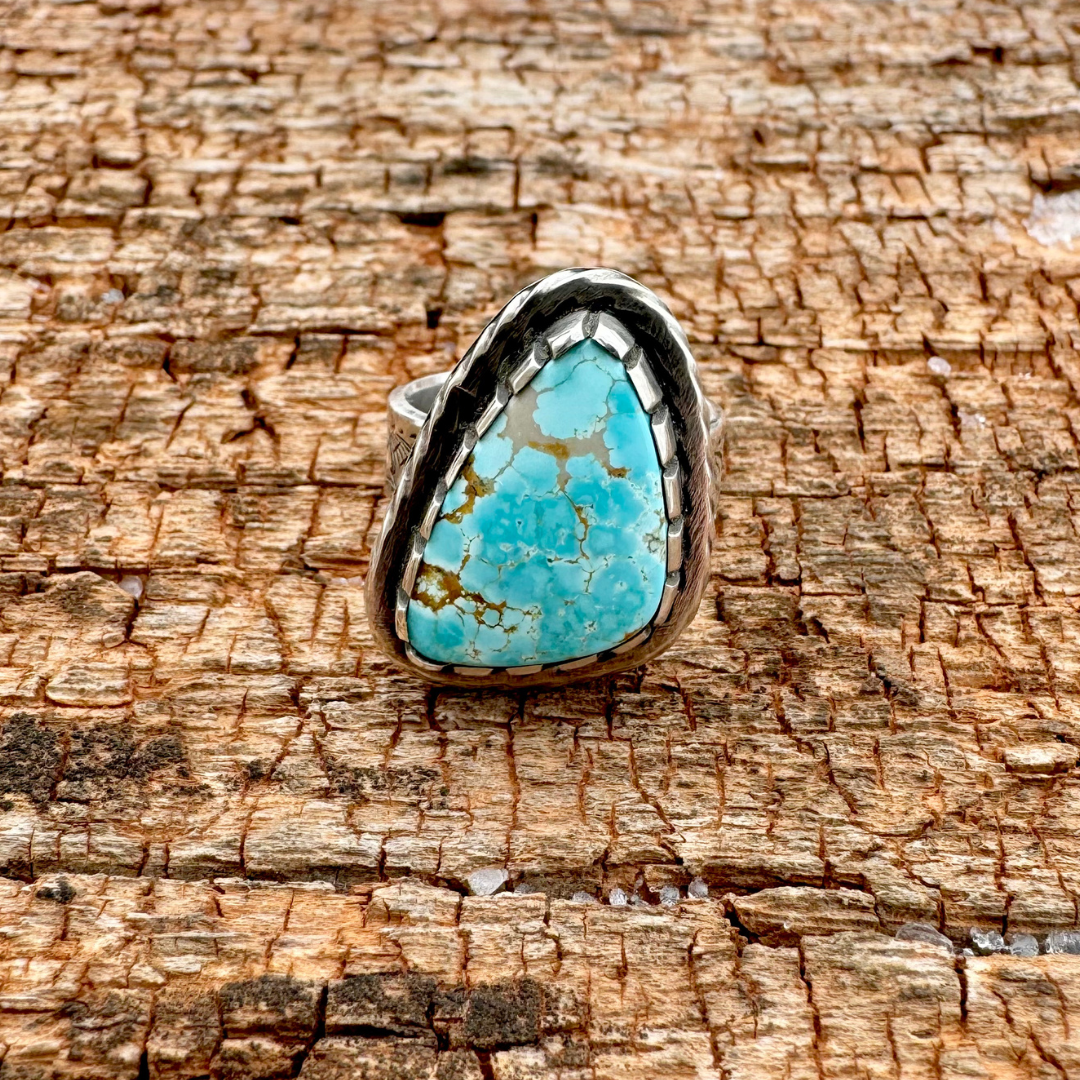 Turquoise Ring | Size 8